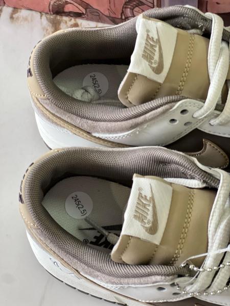 Nike Dunk Low Retro LF0039-031