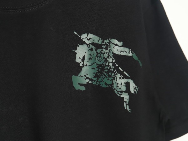 Clothes Burberry 20250419-4