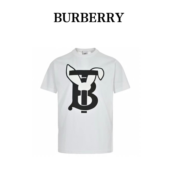  Clothes Burberry 20250419-1