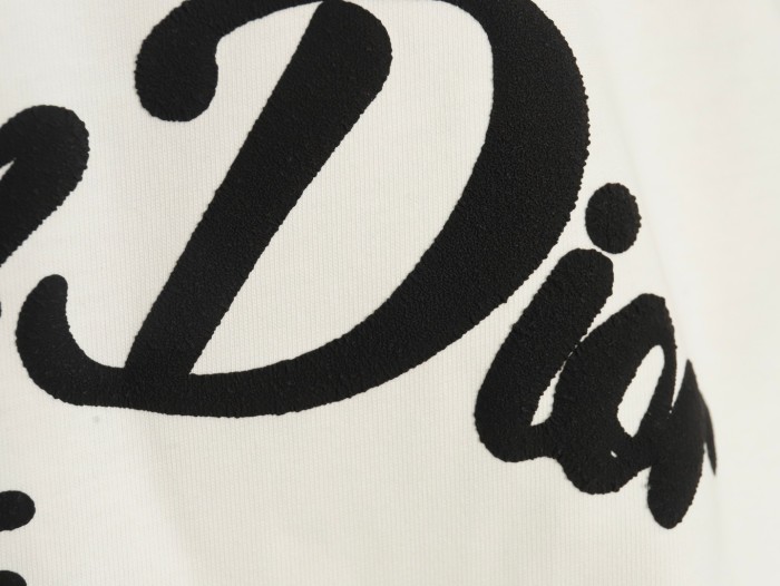  Clothes Dior 20250419-1