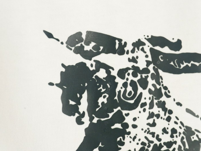 Clothes Burberry 20250419-3