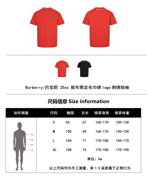  Clothes Burberry 20250616-2