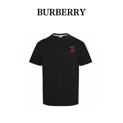  Clothes Burberry 20250616-1