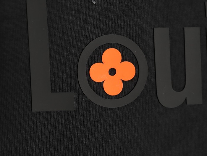 Clothes Louis Vuitton 20250621-5