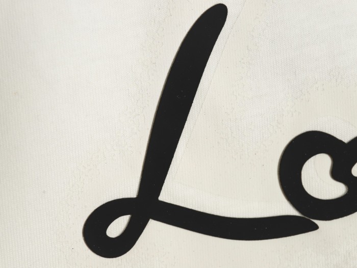 Clothes Louis Vuitton 20250621-10