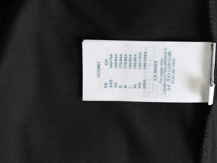 Clothes Louis Vuitton 20250621-3