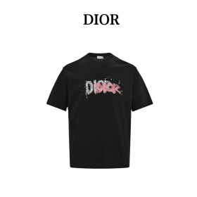  Clothes Dior 20250625-1
