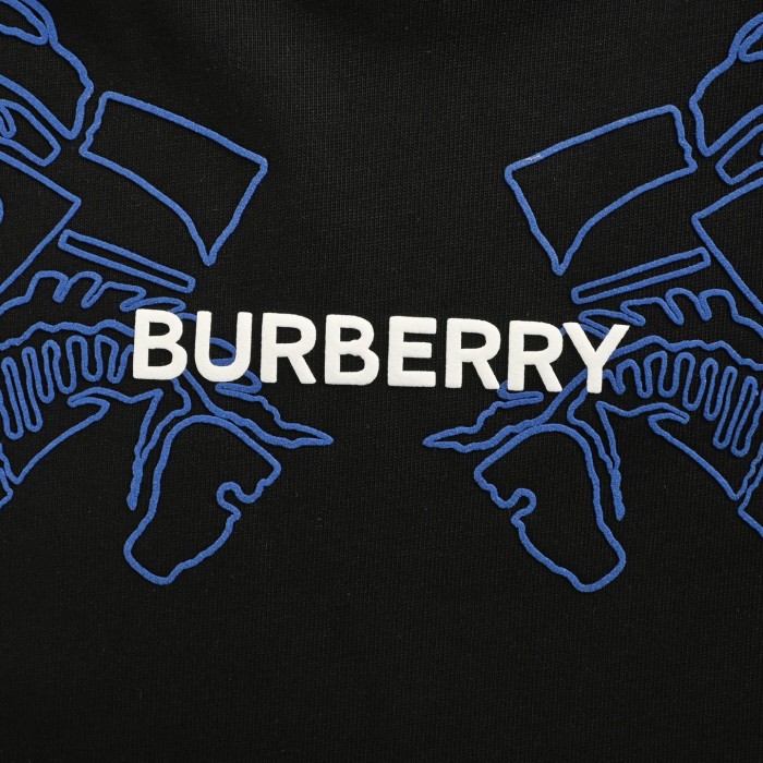  Clothes Burberry 20250702-1