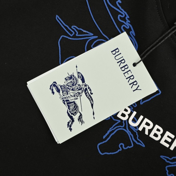  Clothes Burberry 20250702-1