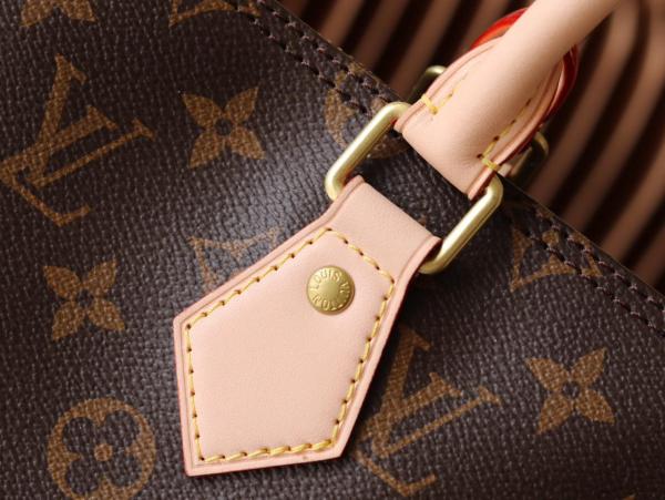 LOUIS VUITTON Speedy Canvas With Leather Pillow Bag Handbag 35 Women's Brown M41107 size 35*18*23 cm