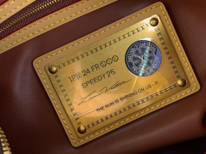 LOUIS VUITTON Speedy P9 Bandoulière 25 Monogram Leather Brown Monogram M24443 size 25*15*15 cm