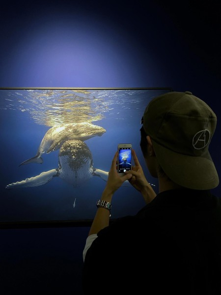  Clothes Louis Vuitton 20250803-3