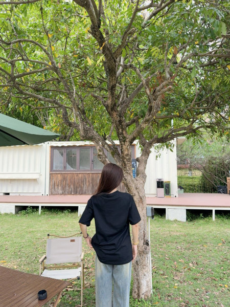 Clothes Burberry 20250911-1