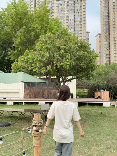 Clothes Burberry 20250911-2