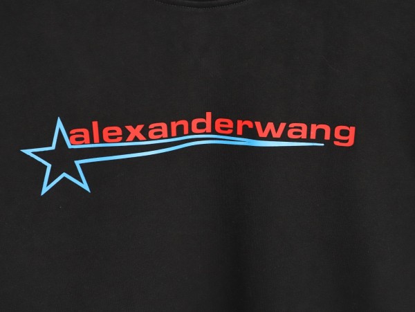 Clothes Alexander wang 20251017