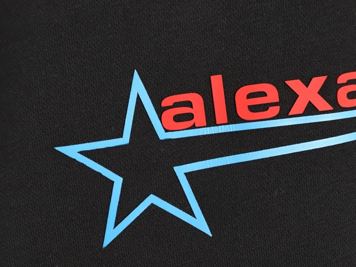 Clothes Alexander wang 20251017