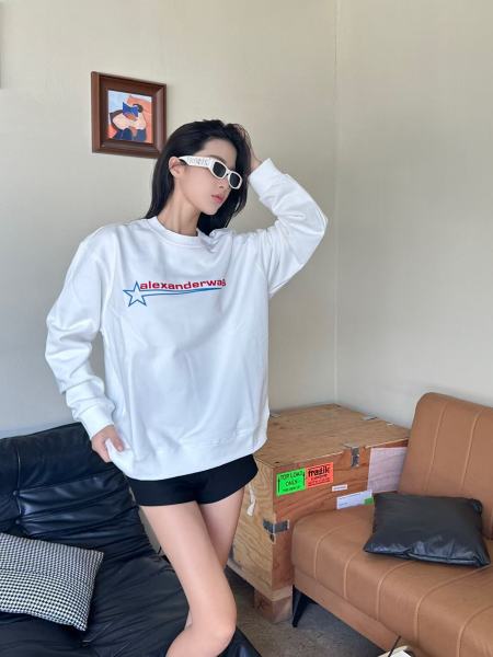 Clothes Alexander wang 20251017