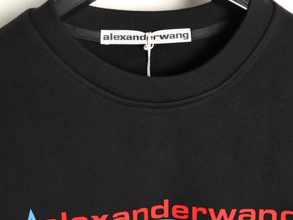 Clothes Alexander wang 20251017