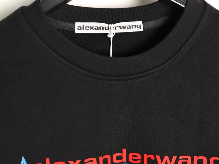 Clothes Alexander wang 20251017