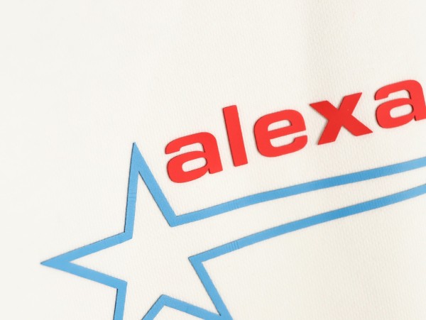 Clothes Alexander wang 20251017