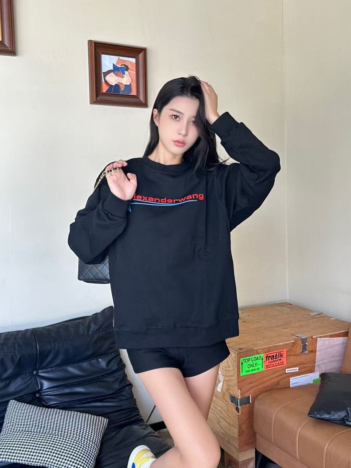 Clothes Alexander wang 20251017