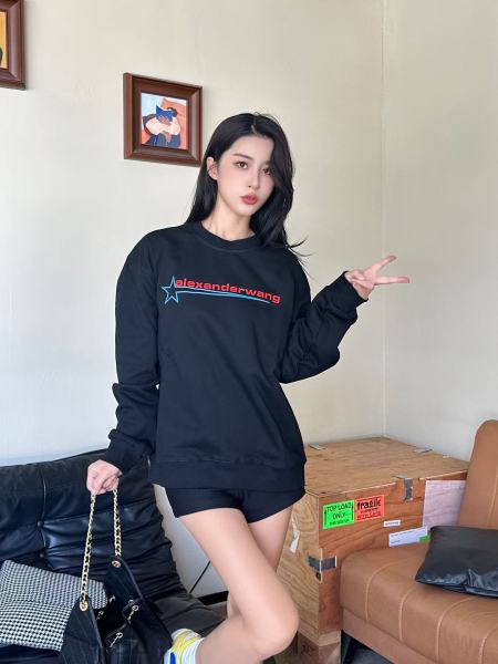 Clothes Alexander wang 20251017