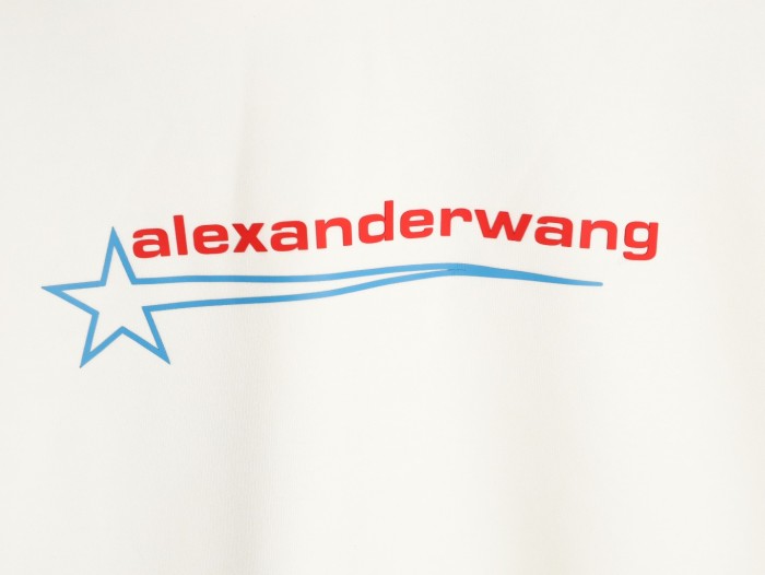 Clothes Alexander wang 20251017