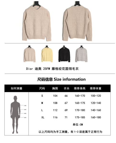 Clothes Dior  20251017