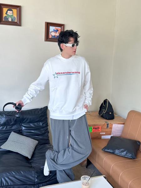 Clothes Alexander wang 20251017