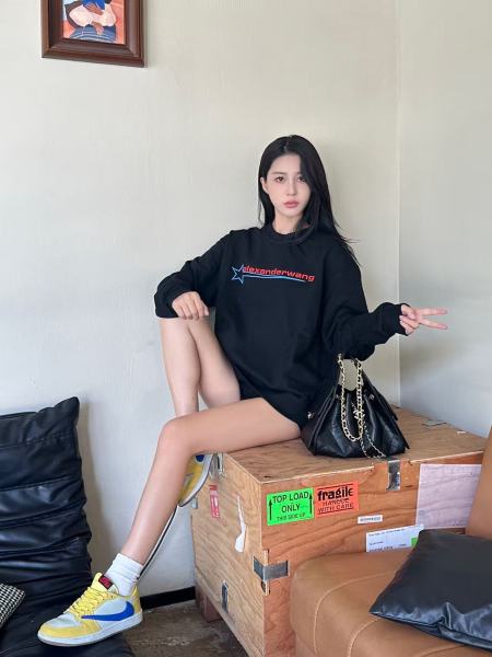 Clothes Alexander wang 20251017