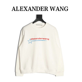 Clothes Alexander wang 20251017