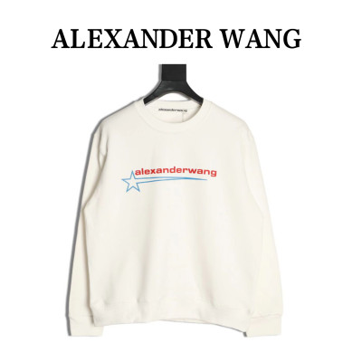 Clothes Alexander wang 20251017