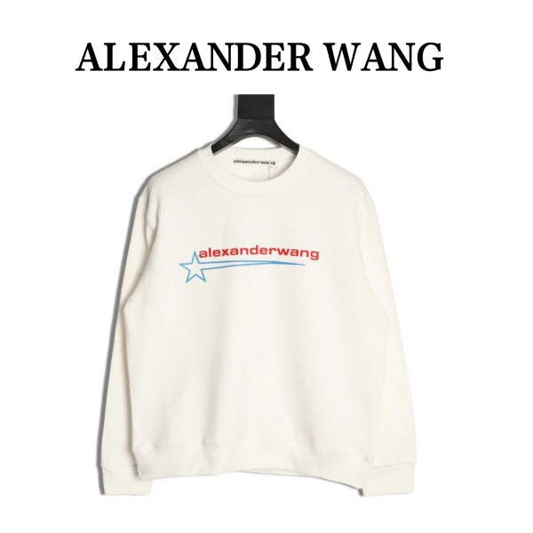 Clothes Alexander wang 20251017