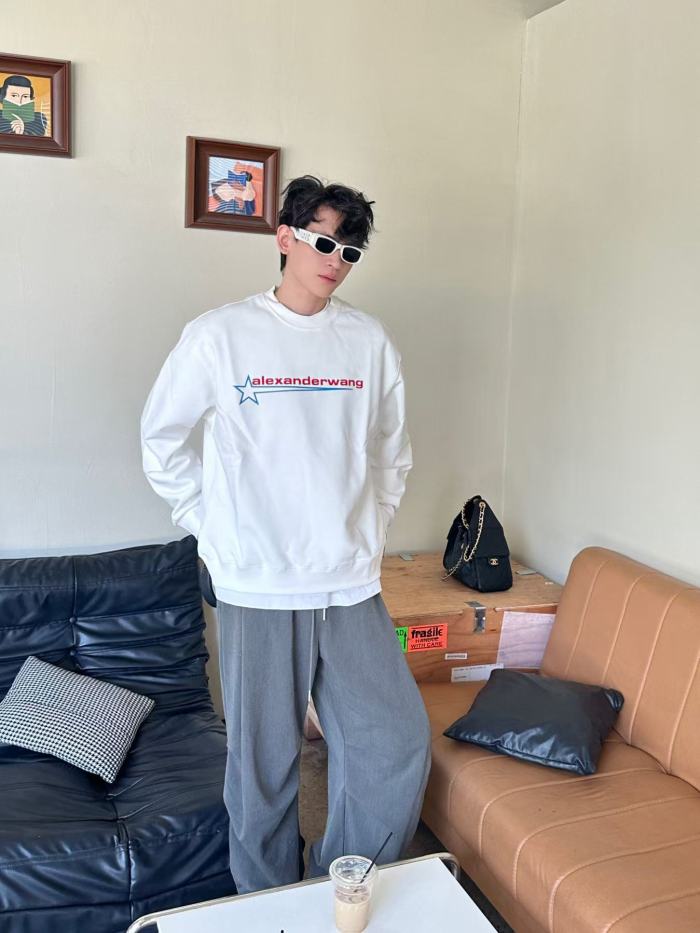 Clothes Alexander wang 20251017