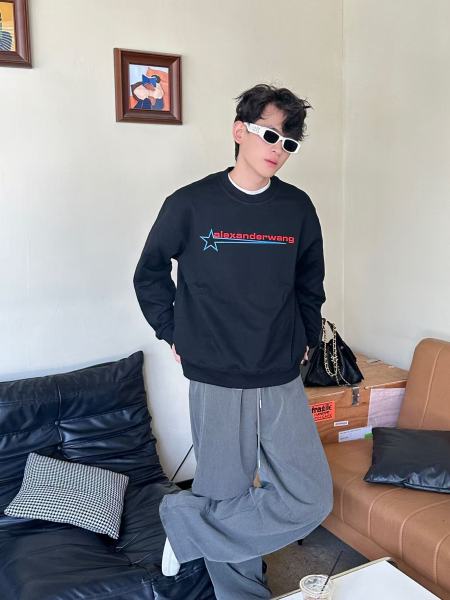 Clothes Alexander wang 20251017