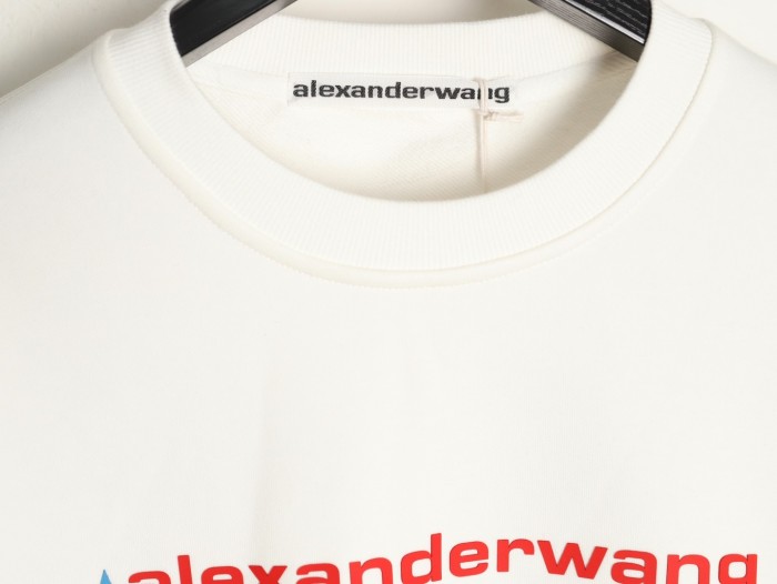 Clothes Alexander wang 20251017
