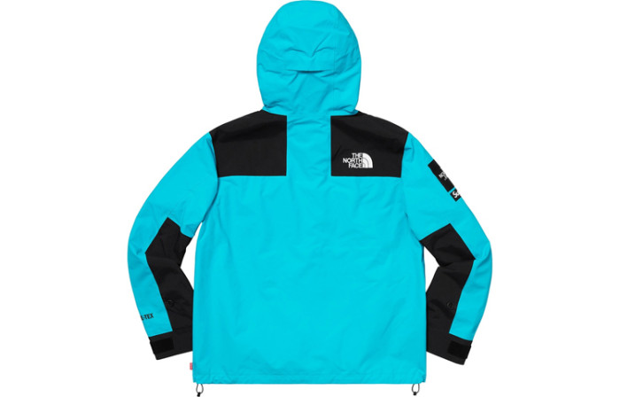 Supreme The North Face Arc Logo Mountain Parka