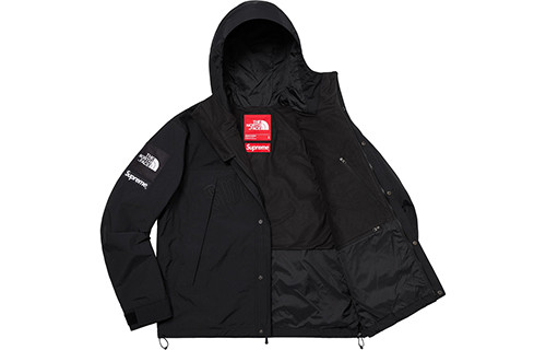 Supreme X The North Face Arc Logo Mountain Parka