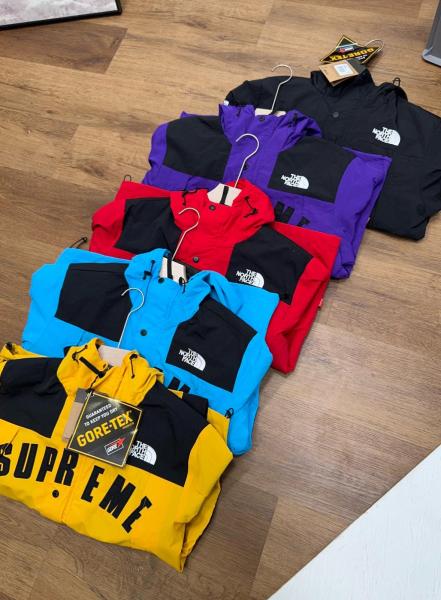 Supreme X The North Face Arc Logo Mountain Parka