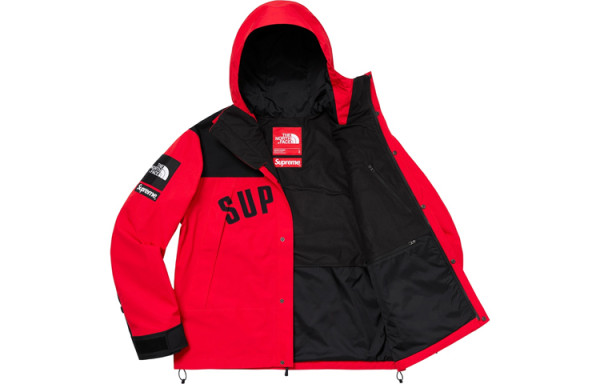 Supreme The North Face Arc Logo Mountain Parka