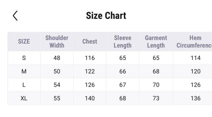 Supreme The North Face Arc Logo Mountain Parka