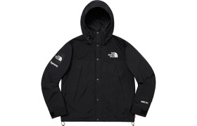 Supreme X The North Face Arc Logo Mountain Parka