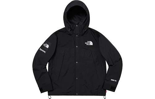 Supreme X The North Face Arc Logo Mountain Parka