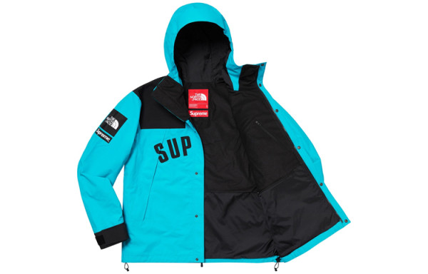 Supreme The North Face Arc Logo Mountain Parka