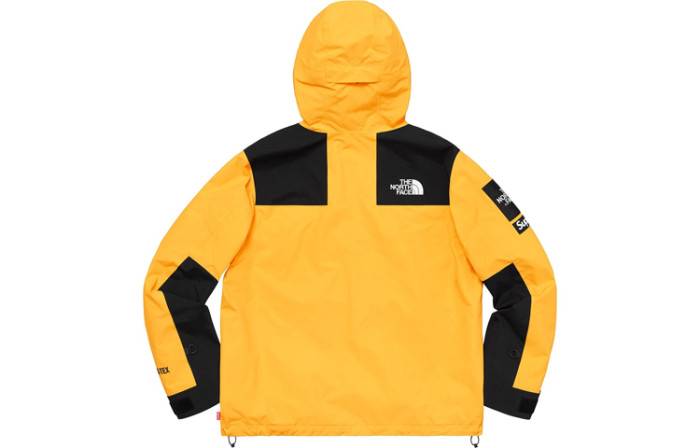 Supreme X The North Face Arc Logo Mountain Parka