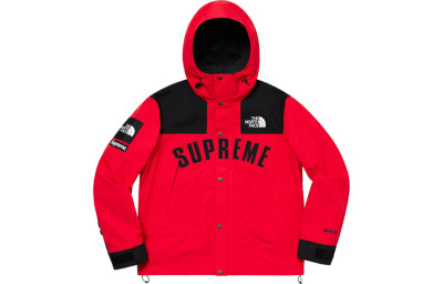 Supreme The North Face Arc Logo Mountain Parka