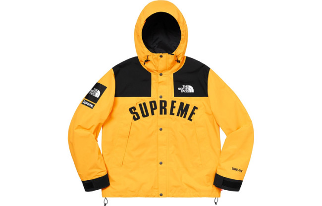 Supreme X The North Face Arc Logo Mountain Parka