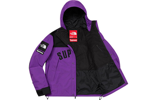 Supreme The North Face Arc Logo Mountain Parka