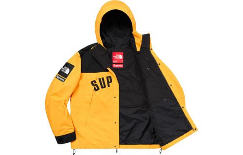 Supreme X The North Face Arc Logo Mountain Parka