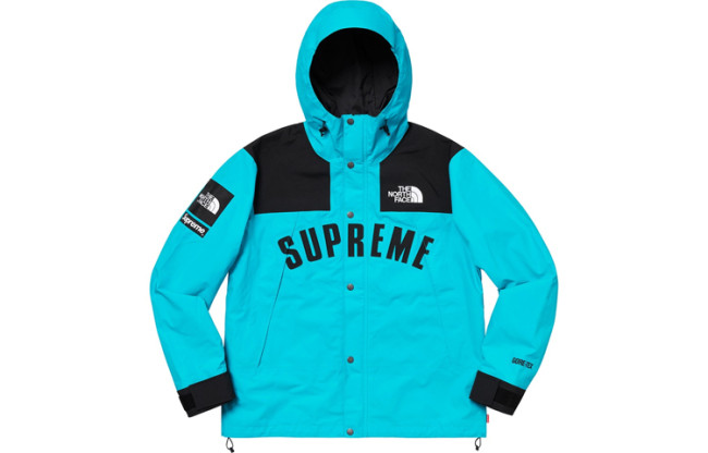 Supreme The North Face Arc Logo Mountain Parka